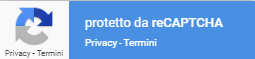 Google Privacy e termini